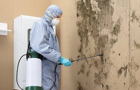 Biohazard Mold Removal in Mineville, NY